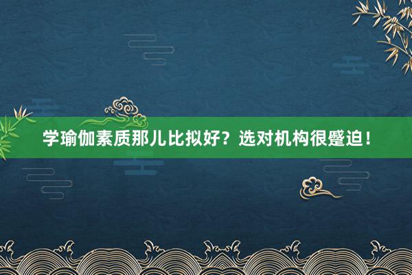 学瑜伽素质那儿比拟好？选对机构很蹙迫！