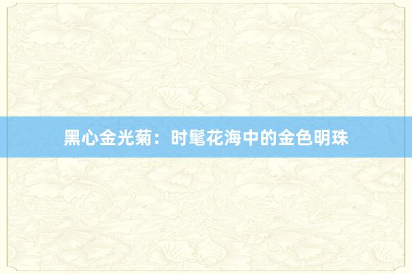 黑心金光菊：时髦花海中的金色明珠
