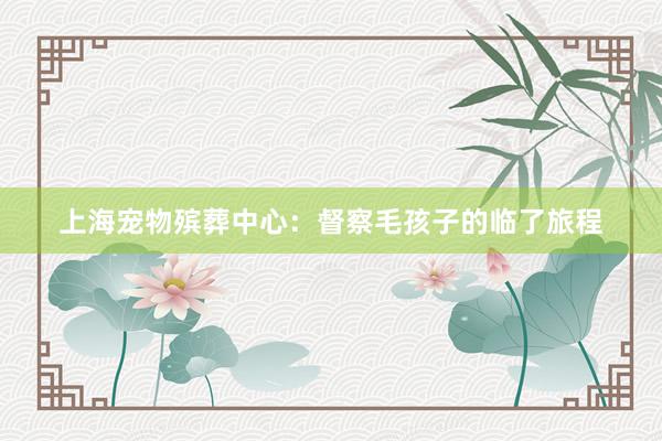 上海宠物殡葬中心：督察毛孩子的临了旅程