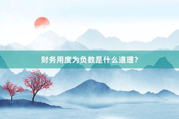 财务用度为负数是什么道理？